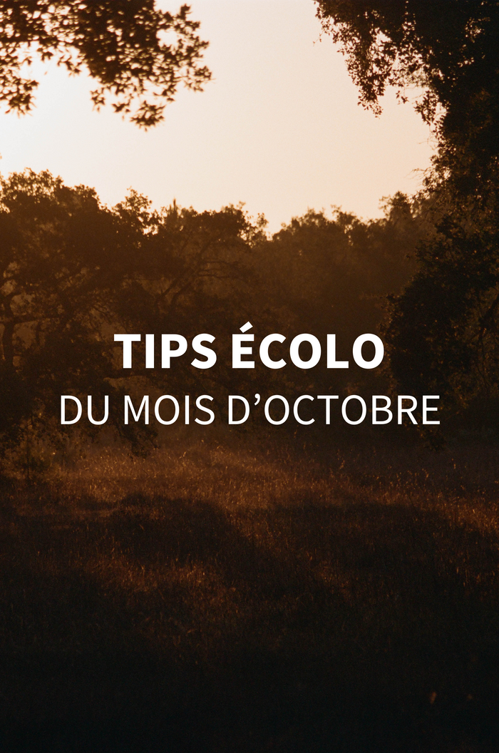Green to know #8 - Octobre